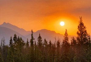 Beautiful Sunset